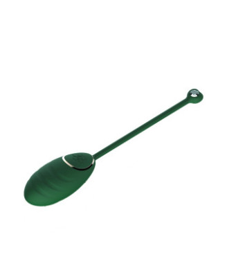 Œuf vibrant Vert Emeraude avec télécommande USB 